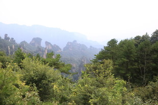 山林间的秀丽自然景致