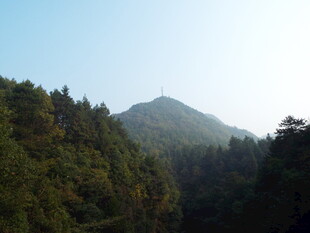 山林景色 清新自然风光