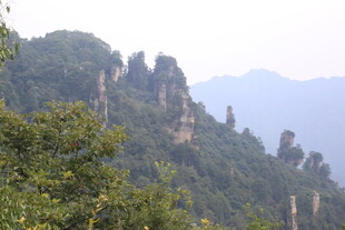 奇峰耸翠的山林景观