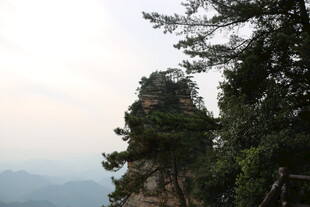 奇峰耸立伴苍松