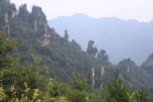 奇峰林立的壮美山林景观