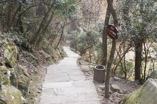 山间幽静石板小径