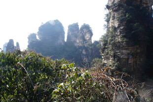 张家界奇峰美景