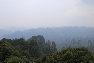 张家界奇峰林立的山林景观
