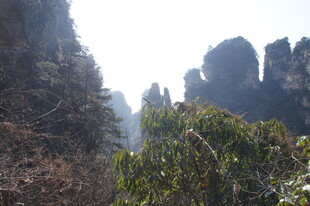 张家界奇峰异景