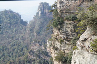 壮丽悬崖山林景观