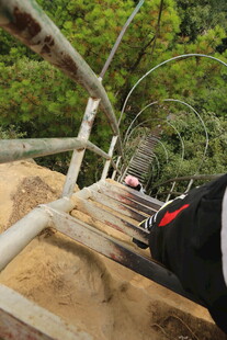 漫步木质栈道赏山林风光