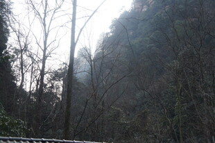 山林冬日景象
