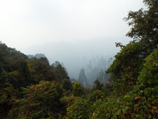 山林云雾间的自然景致