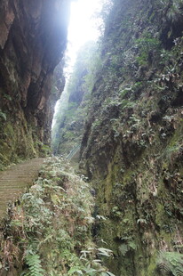 峡谷山间小道自然景致