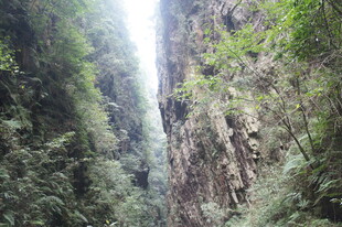 峡谷间的葱郁山林景观