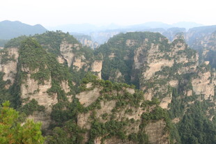 张家界奇峰美景
