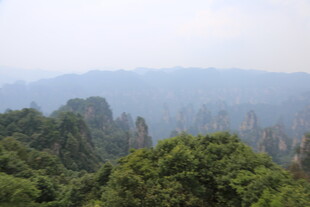 张家界奇峰异林景观