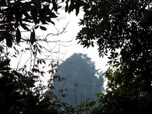 林间隐现的神秘山峰