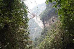 峡谷间的壮丽自然景观