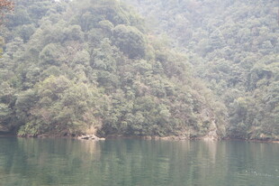 青山绿水间的静谧湖景