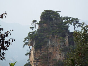 张家界奇峰景色