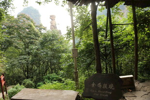 山林中的古朴景致
