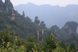壮美山峦间的葱郁景致