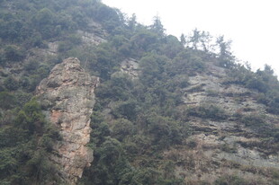 陡峭山峦 植被覆盖的岩壁