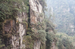 陡峭山壁 植被覆盖