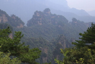 壮丽山峰与葱郁林木
