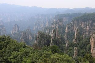 张家界奇峰林立的壮美景观