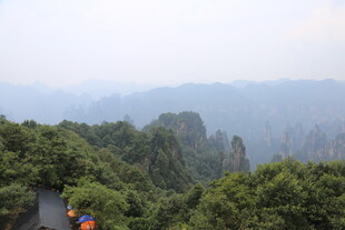 山间公路穿行于葱郁山林