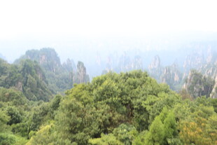 山林间的葱郁景致