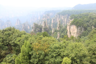 壮美山林景观