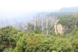 张家界奇峰林立的壮美景观