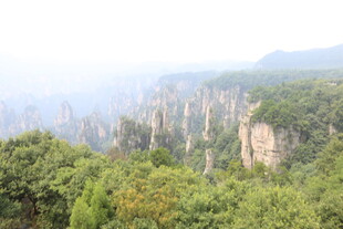 张家界奇峰林立美景