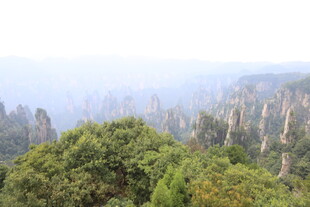 张家界奇峰异林景观