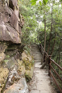 山间石阶小道 绿意环绕