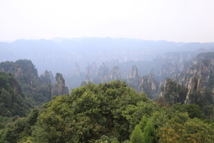 张家界奇峰绿意景观