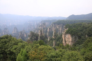 张家界奇峰林立美景