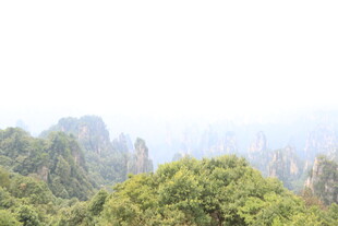 壮美奇峰间的翠绿山林