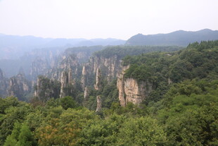 张家界奇峰异石山林景观