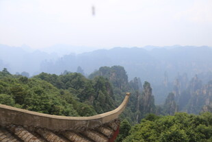 屋顶视角下的山林景致