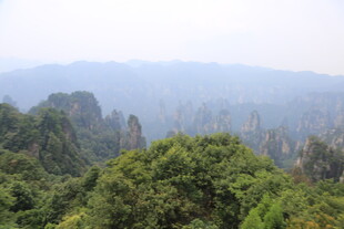 张家界奇峰异林景观