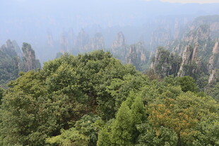 山林葱郁间的朦胧景致