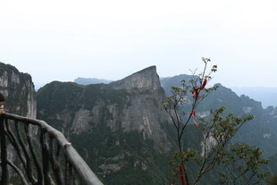 山间栈道旁的秀丽景致