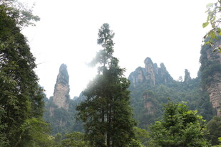 张家界奇峰异石景观