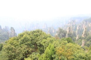 张家界奇峰林立美景