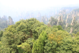 山林葱郁 峰林隐现
