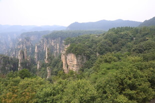 张家界奇峰林立绿意浓