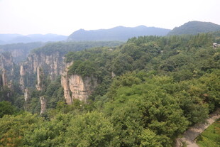 张家界奇峰异林壮美景观