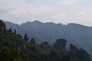 壮丽山景 绿意盎然的峰林