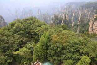 张家界壮美山林景观