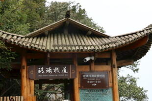 中式古亭 尽显传统韵味
